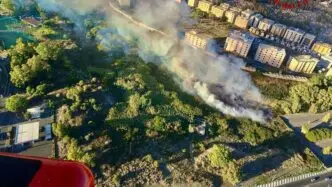 Incendio vicino al cimitero di Catania, intervento massiccio dei Vigili del Fuoco 12 Incendio