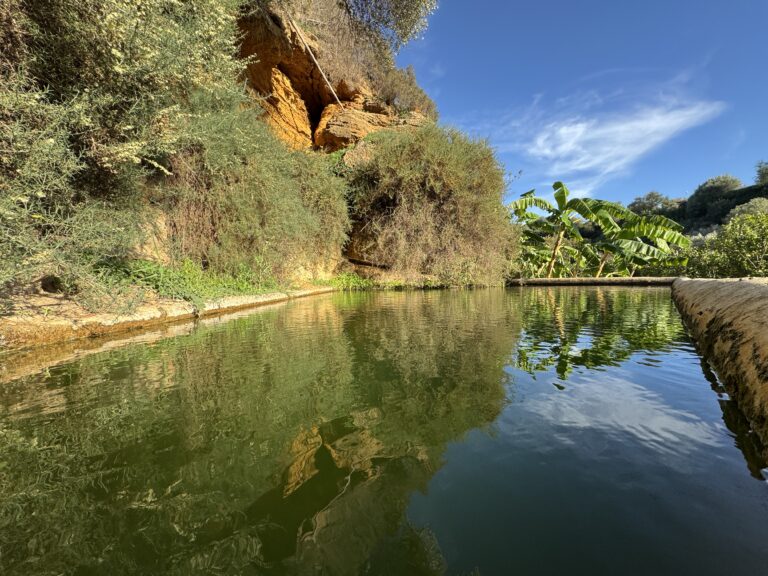 Giornata FAI ad Agrigento: un percorso tra cultura e storia 13 giardino della kolymbethra