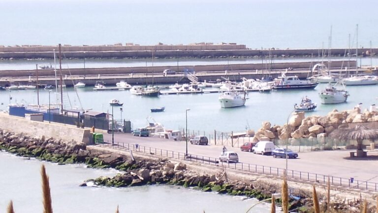 Porto di Gela Interporto Gela APS, Mediterranean Cup’s ASD e Guardia Nazionale Ambientale in sinergia per il territorio