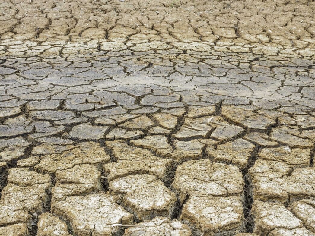 Schifani: "La potabilizzazione dell'acqua di mare è la soluzione alla siccità" 2 Siccità, crisi idrica