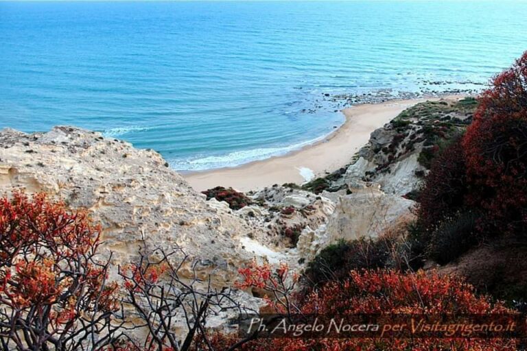 Trekking alla scoperta della Riserva Naturale di Torre Salsa 13 466042830 968174472016982 6665649748406537571 n Trekking alla scoperta della Riserva Naturale di Torre Salsa