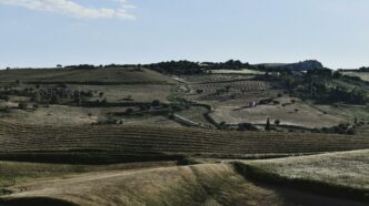 pexels lorenzo castronovo 180444906 11661365 Cento milioni di euro per l'agricoltura siciliana