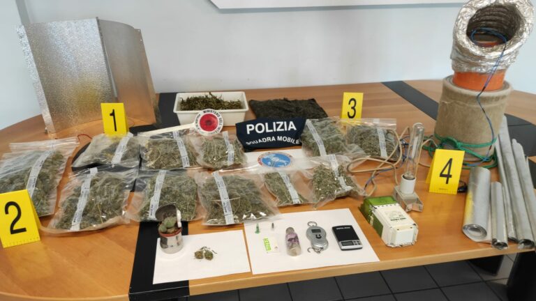 Enna, maxi sequestro di droga: arrestato un uomo con oltre due chili di stupefacenti 15 WhatsApp Image 2024 12 07 at 11.09.24 Enna, maxi sequestro di droga: arrestato un uomo con oltre due chili di stupefacenti
