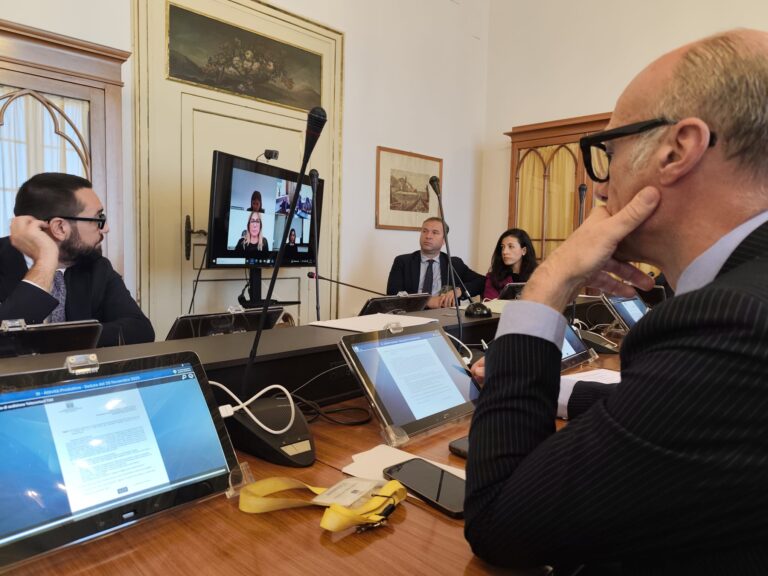 Fusione Telecontact-DNA, audizione all'ARS: il sindaco Tesauro chiede garanzie per Caltanissetta 7 Telecontact-DNA, audizione all'ARS: Il sindaco Tesauro chiede garanzie per Caltanissetta