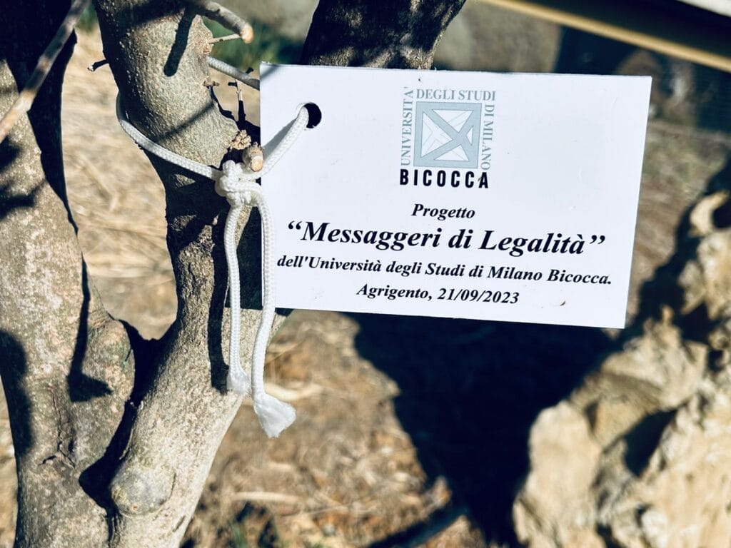 Parco Rosario Livatino, piantati 1.000 alberi dedicati alle vittime innocenti di mafia 5 4 1 Parco Rosario Livatino, piantati 1.000 alberi dedicati alle vittime innocenti di mafia