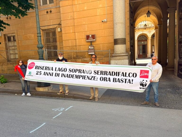 Lago Soprano di Serradifalco, flash-mob delle associazioni ambientaliste davanti al Libero Consorzio di Caltanissetta 17 Lago Soprano di Serradifalco, flash-mob delle associazioni ambientaliste davanti al Libero Consorzio