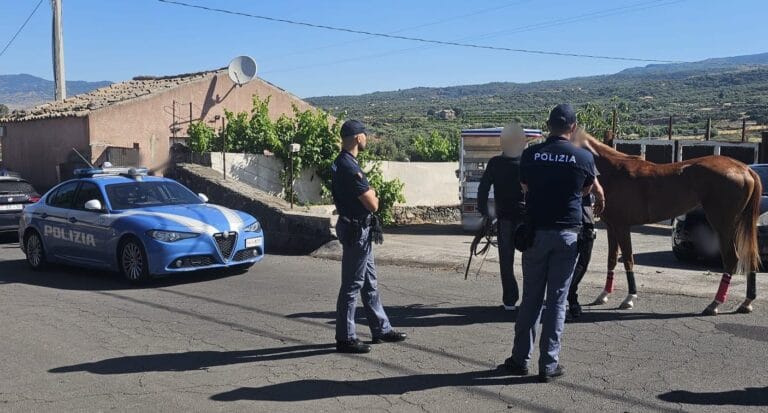 CONTRASTO ALLE CORSE CLANDESTINE DI CAVALLI INTERVENTO INTERFORZE DELLA POLIZIA DI STATO E DELLARMA DEI CARABINIERI TRA PATERNO E ADRANO 1 e1780394608505 Corsa clandestina sventata tra Paternò e Adrano: maxi intervento interforze all’alba