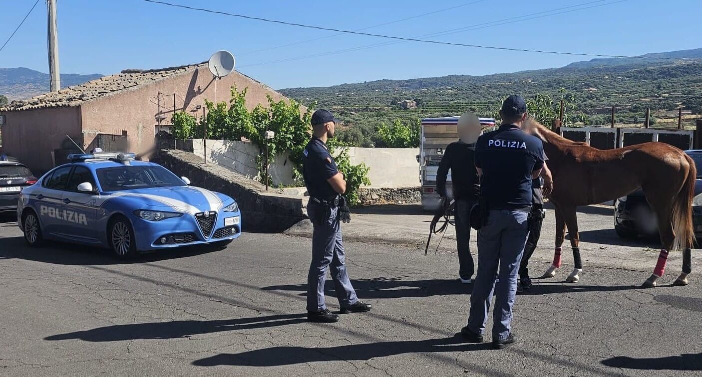 CONTRASTO ALLE CORSE CLANDESTINE DI CAVALLI INTERVENTO INTERFORZE DELLA POLIZIA DI STATO E DELLARMA DEI CARABINIERI TRA PATERNO E ADRANO 1 e1780394608505 Corsa clandestina sventata tra Paternò e Adrano: maxi intervento interforze all’alba