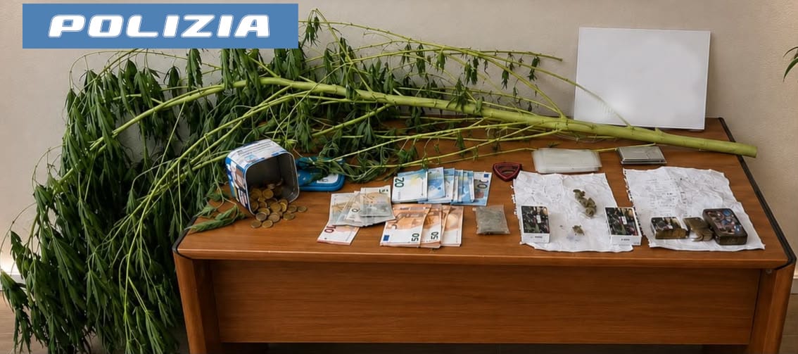 SPACCIA DAI DOMICILIARI NEL GIARDINO DI CASA AVEVA COLTIVATO UNA PIANTA DI MARIJUANA. PREGIUDICATO ARRESTATO DALLA POLIZIA DI STATO Una pianta di marijuana di due metri in casa e lo spaccio dai domiciliari: arrestato un catanese