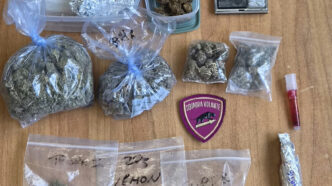 ARES FIUTA LA DROGA SPACCIATORE FERMATO SOTTO CASA DALLA POLIZIA DI STATO AVEVA DOSI DI MARIJUANA PRONTE PER ESSERE SPACCIATE Ares, il cane-poliziotto, fiuta la droga: arrestato spacciatore a Catania